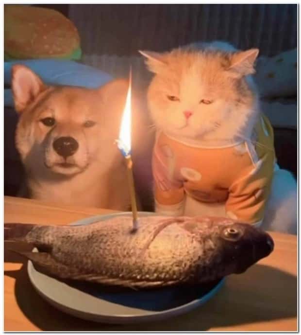 Klyker Picdump #1552 (42 photos)