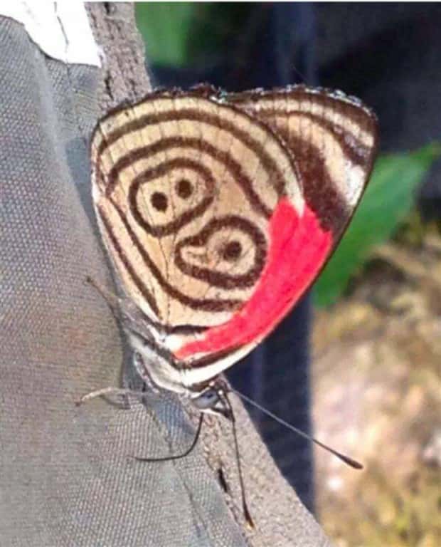 Klyker Picdump #1553 (43 photos)