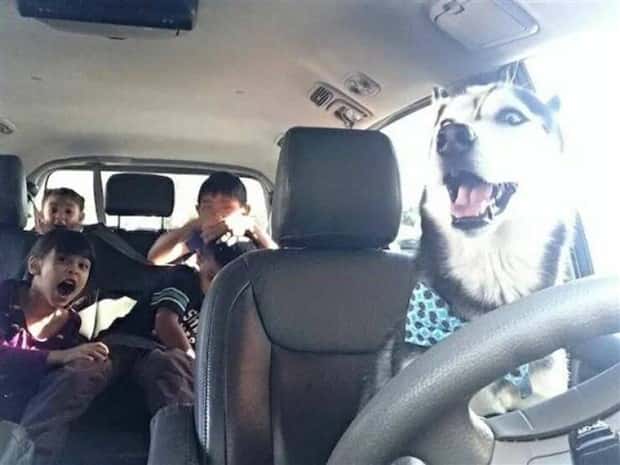 Klyker Picdump #1553 (43 photos)