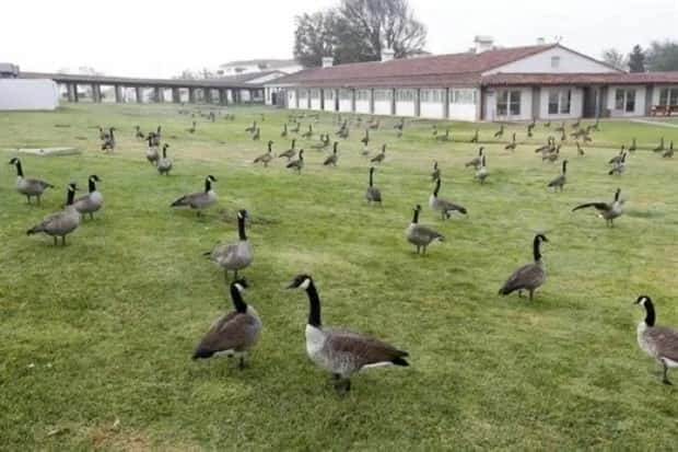 Klyker Picdump #1553 (43 photos)