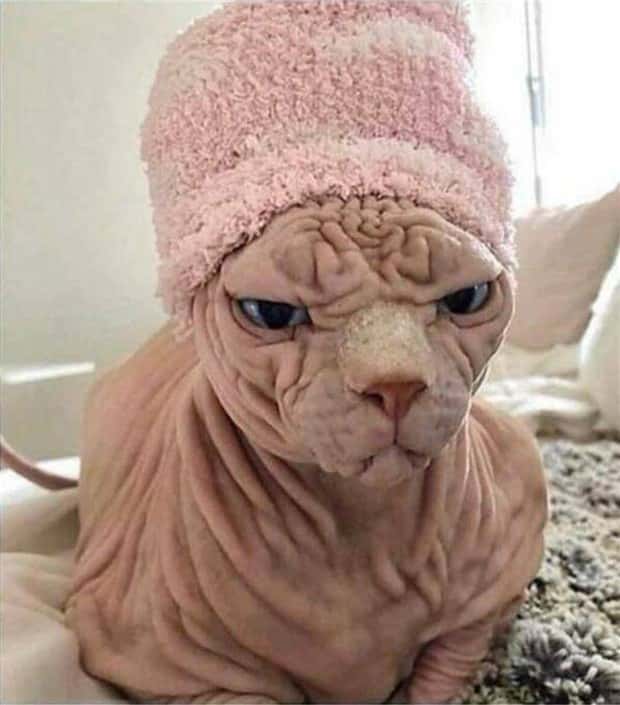 klyker picdump 9 2 2024 21 Klyker Picdump #1541 (41 photos)