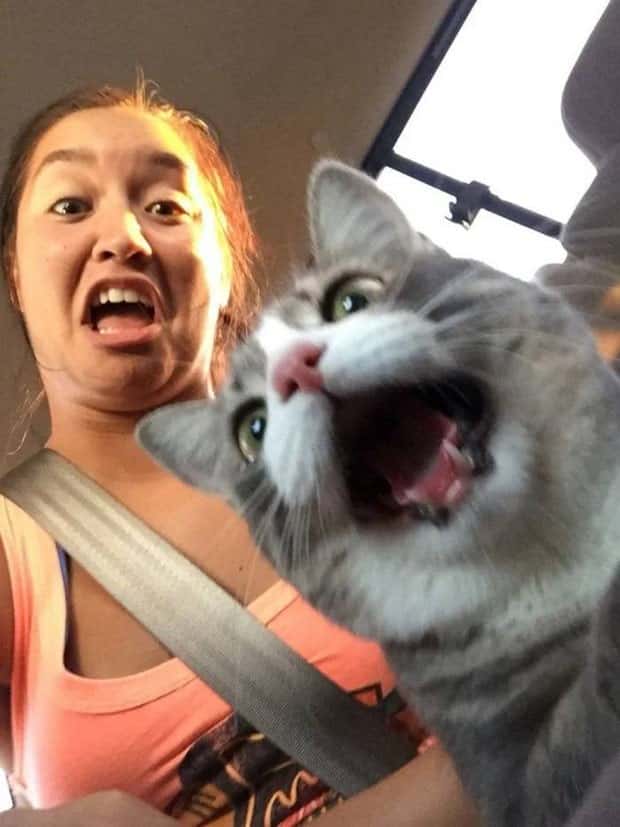 klyker picdump 9 2 2024 36 Klyker Picdump #1541 (41 photos)