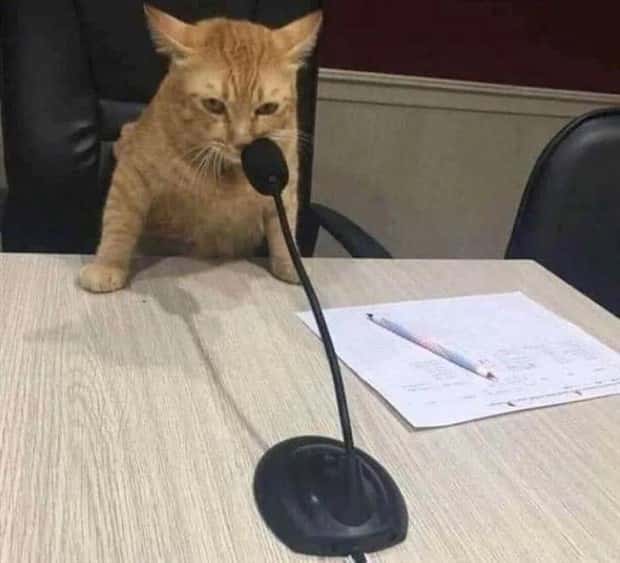 klyker picdump 9 2 2024 40 Klyker Picdump #1541 (41 photos)