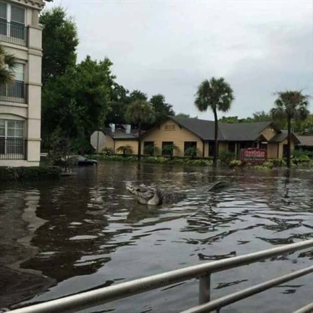 klyker picdump 9 2 2024 7 Klyker Picdump #1541 (41 photos)