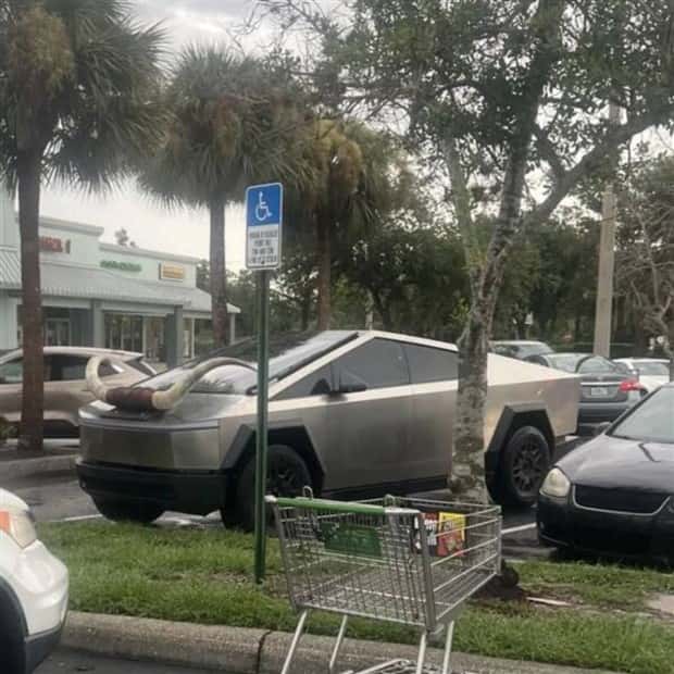 klyker picdump 9 2 2024 8 Klyker Picdump #1541 (41 photos)