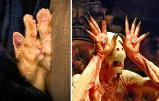 klyker picdump 9 23 2024 16 Klyker Picdump #1556 (41 photos)