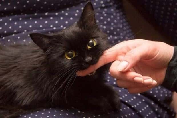 klyker picdump 9 23 2024 4 Klyker Picdump #1556 (41 photos)