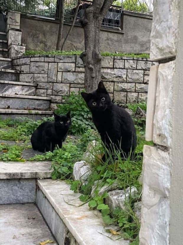 klyker picdump 9 23 2024 5 Klyker Picdump #1556 (41 photos)