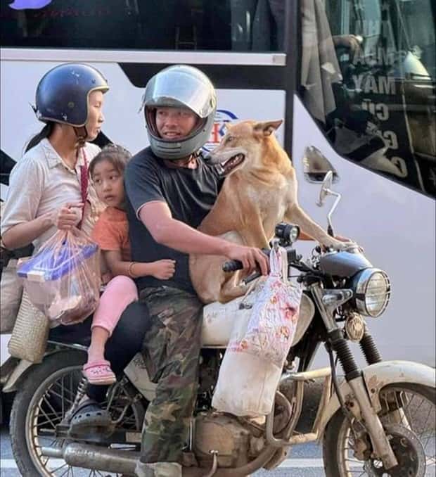 klyker picdump 9 24 2024 12 Klyker Picdump #1557 (42 photos)