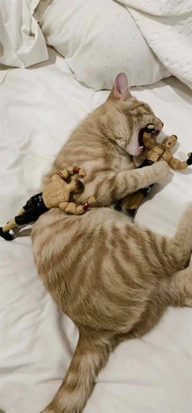 klyker picdump 9 24 2024 15 Klyker Picdump #1557 (42 photos)