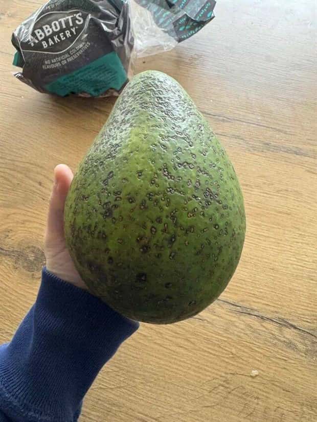 klyker picdump 9 24 2024 16 Klyker Picdump #1557 (42 photos)