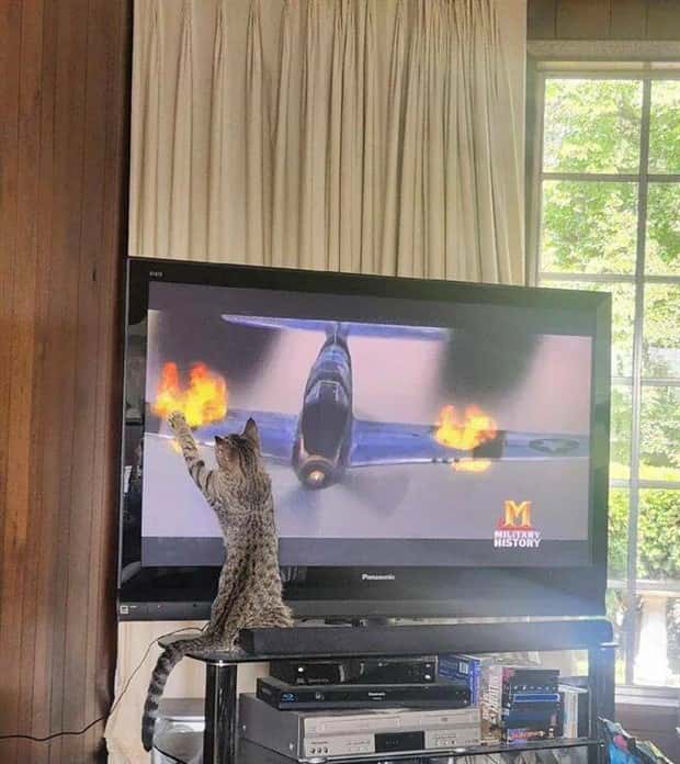 klyker picdump 9 24 2024 26 Klyker Picdump #1557 (42 photos)