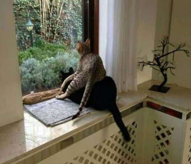 klyker picdump 9 24 2024 27 Klyker Picdump #1557 (42 photos)