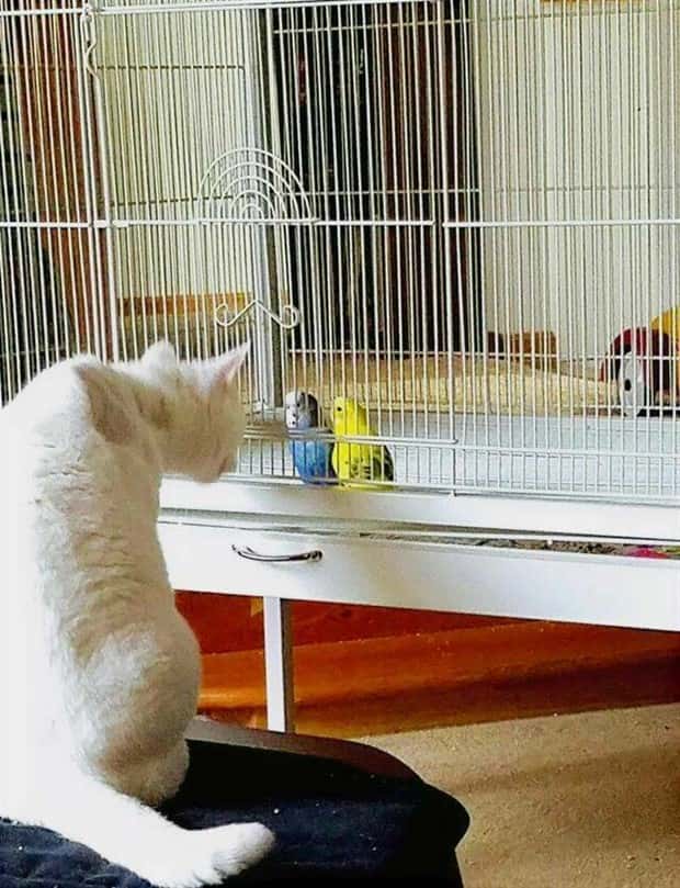 klyker picdump 9 24 2024 29 Klyker Picdump #1557 (42 photos)