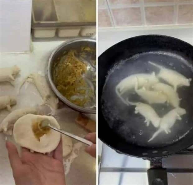 klyker picdump 9 24 2024 5 Klyker Picdump #1557 (42 photos)