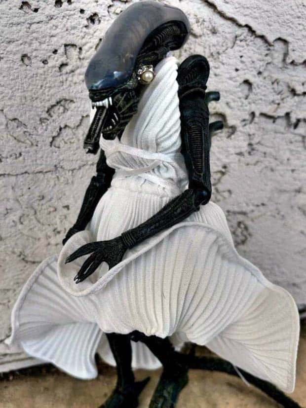 klyker picdump 9 24 2024 6 Klyker Picdump #1557 (42 photos)