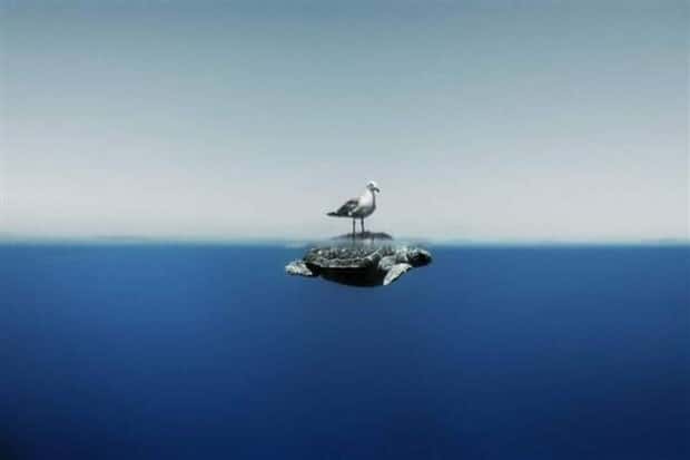 Klyker Picdump #1558 (43 photos)