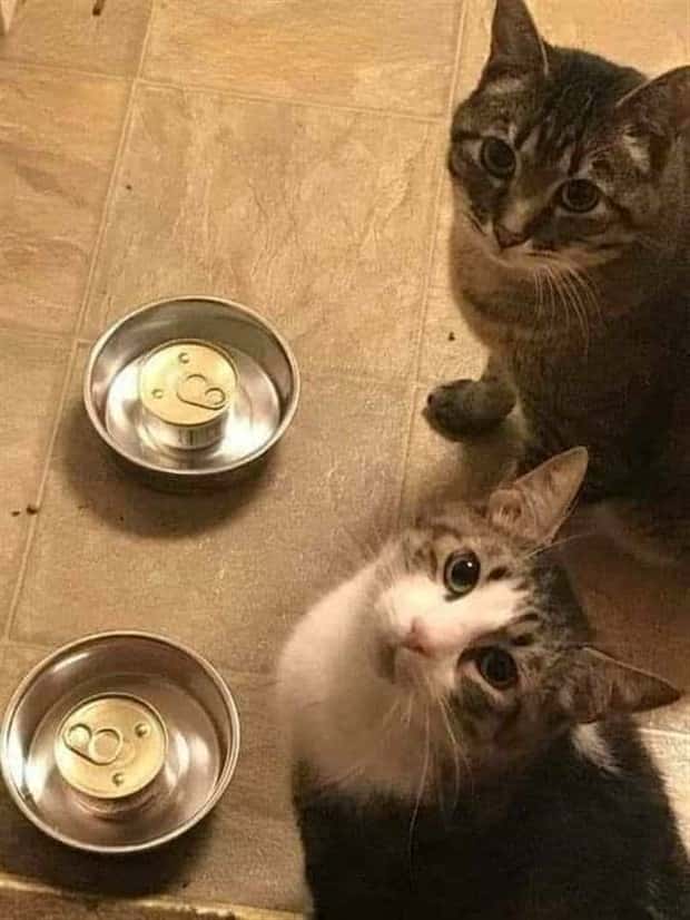 Klyker Picdump #1558 (43 photos)