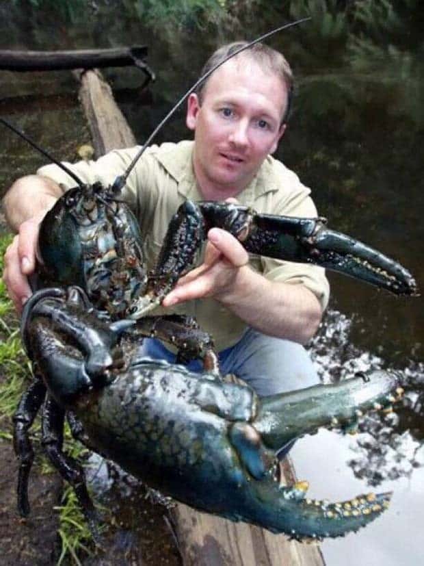 Klyker Picdump #1558 (43 photos)