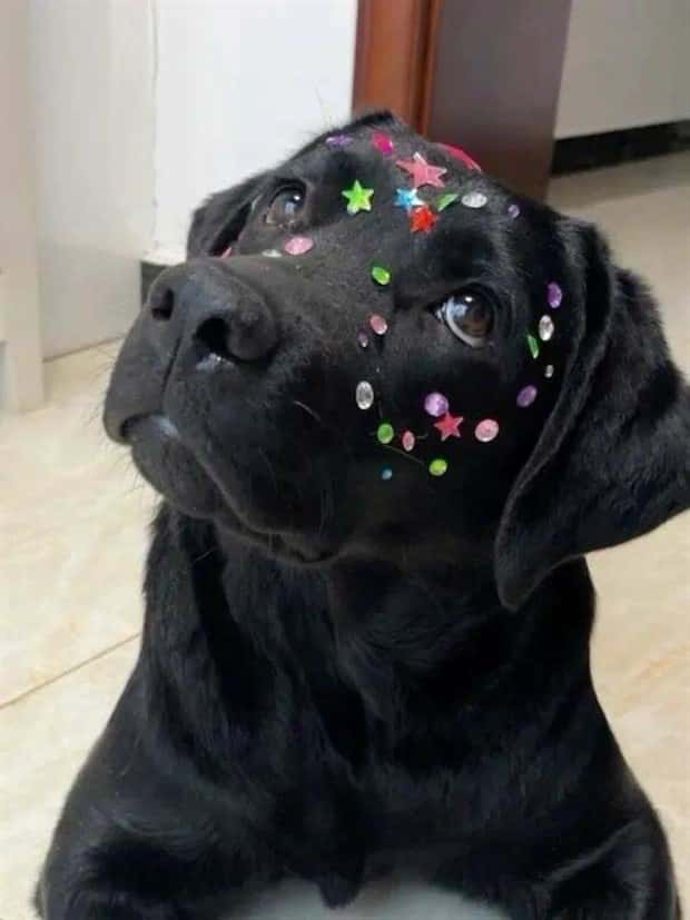 Klyker Picdump #1558 (43 photos)