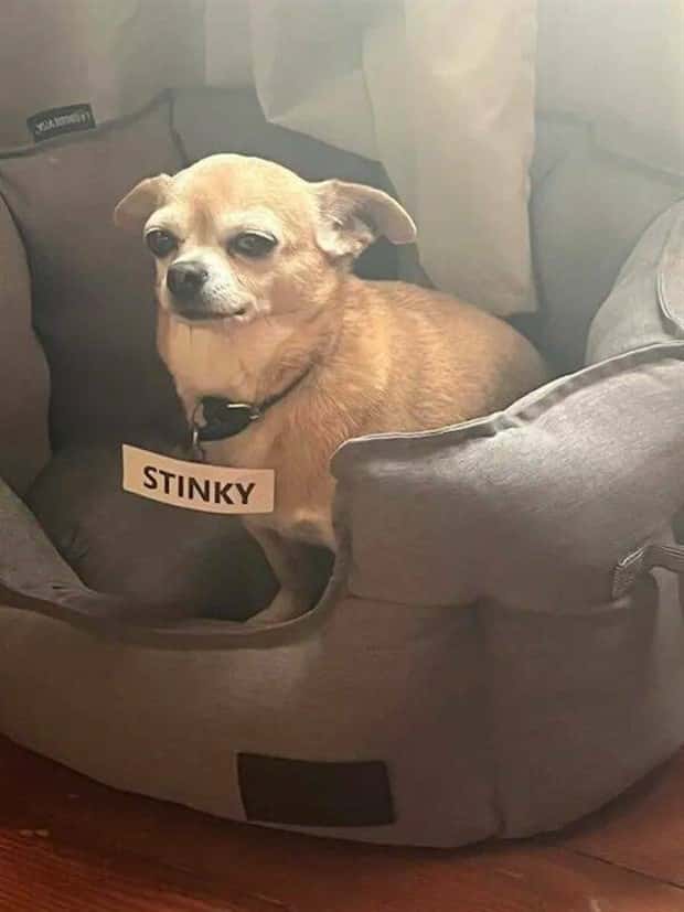 Klyker Picdump #1558 (43 photos)