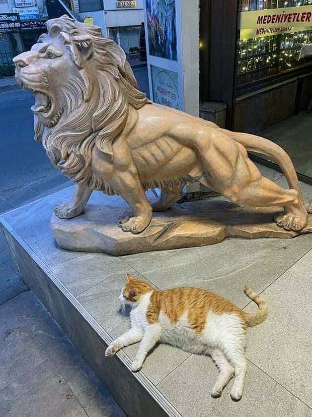 Klyker Picdump #1558 (43 photos)