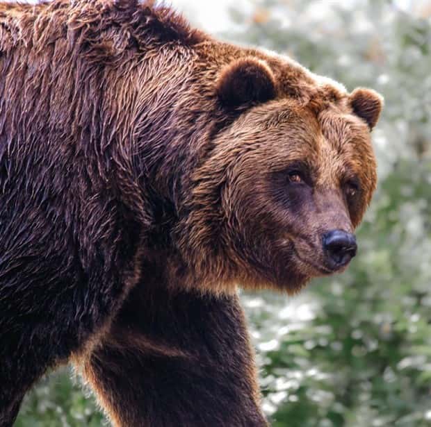 Klyker Picdump #1559 (44 photos)