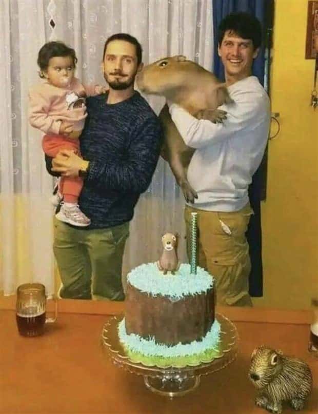 Klyker Picdump #1559 (44 photos)