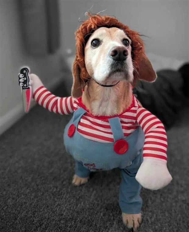 Klyker Picdump #1559 (44 photos)