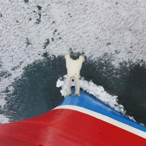 Klyker Picdump #1559 (44 photos)