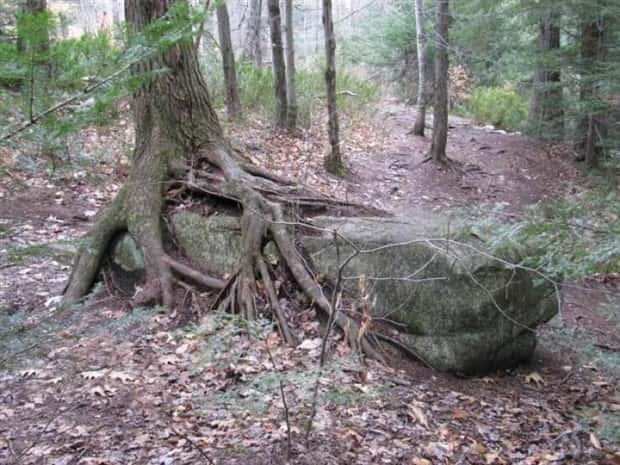 Klyker Picdump #1559 (44 photos)