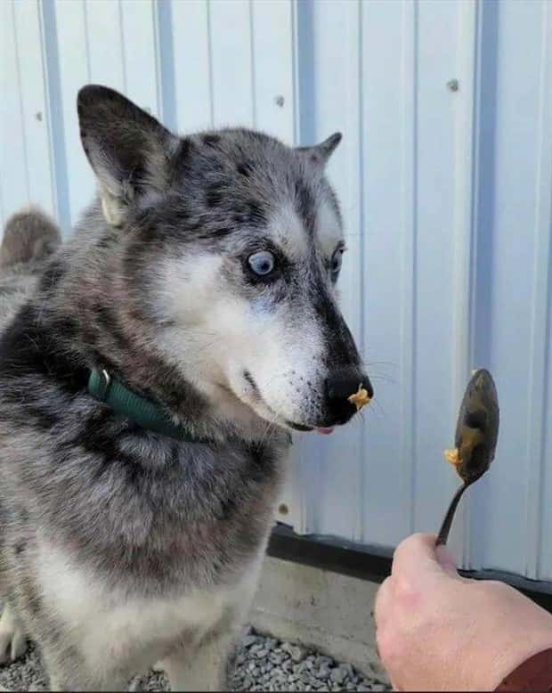 Klyker Picdump #1559 (44 photos)