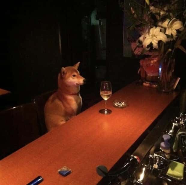 Klyker Picdump #1544 (44 photos)