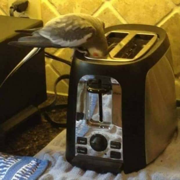 Klyker Picdump #1544 (44 photos)