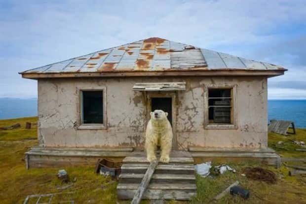Klyker Picdump #1545 (45 photos)