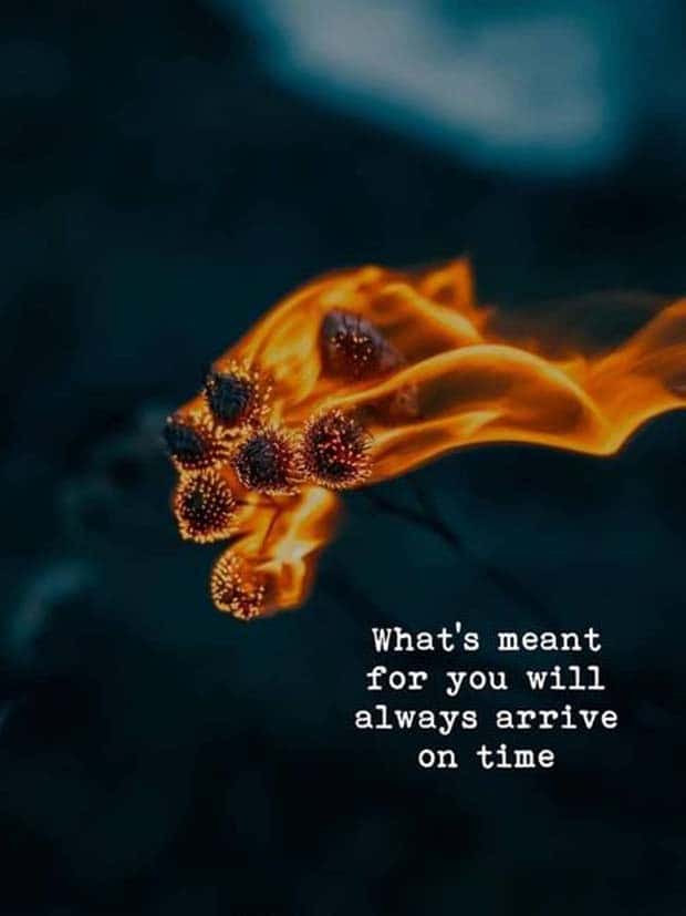 Motivational Quotes, Because It’s Monday #121 (22 photos)