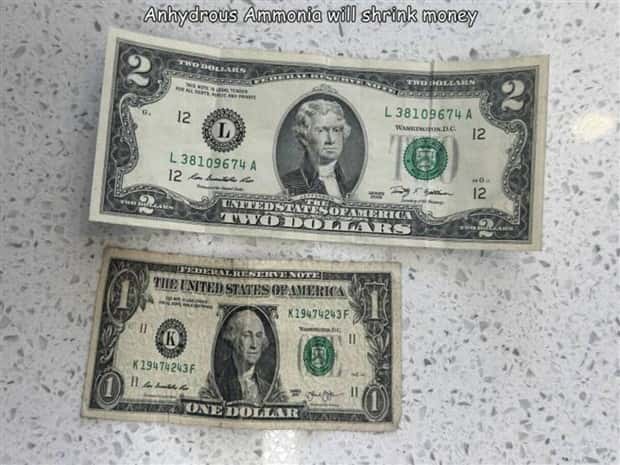 Interesting Pictures with Captions #122 (22 photos)