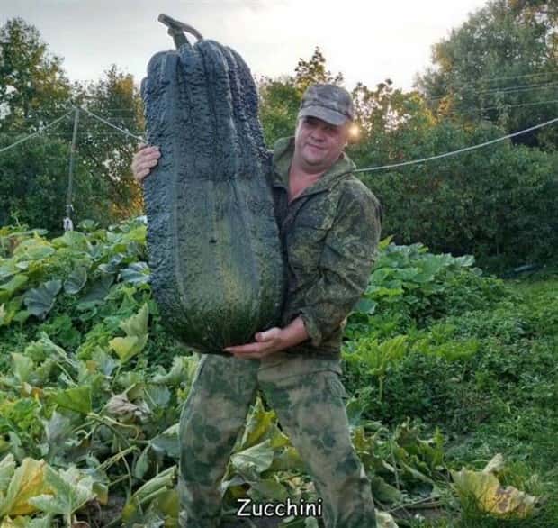 Interesting Pictures with Captions #122 (22 photos)