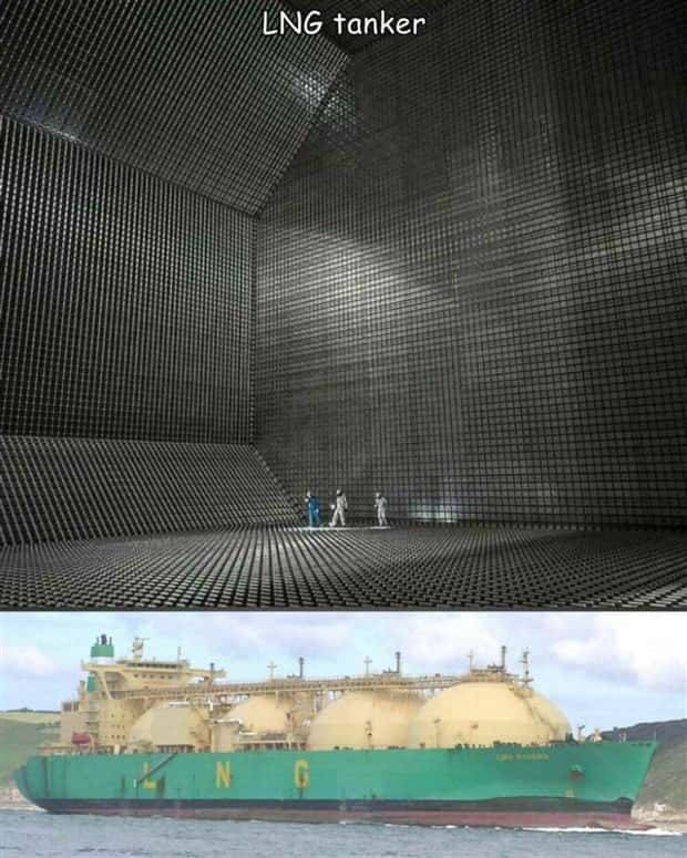 pictures with captions 14 1 Interesting Pictures with Captions #120 (24 photos)