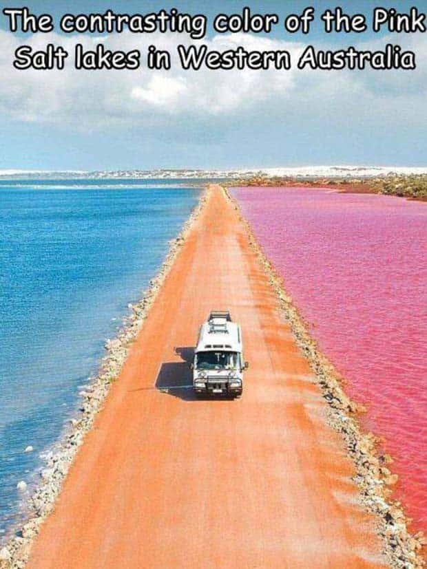 pictures with captions 21 1 Interesting Pictures with Captions #120 (24 photos)