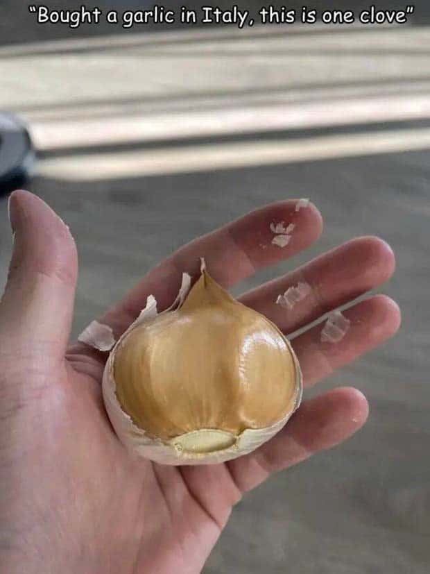 pictures with captions 24 Interesting Pictures with Captions #120 (24 photos)