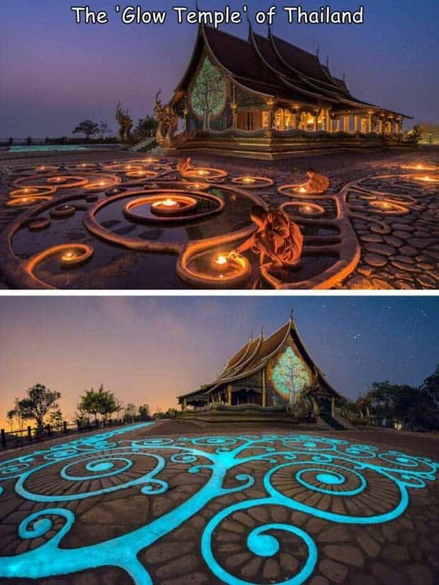 pictures with captions 5 1 Interesting Pictures with Captions #120 (24 photos)