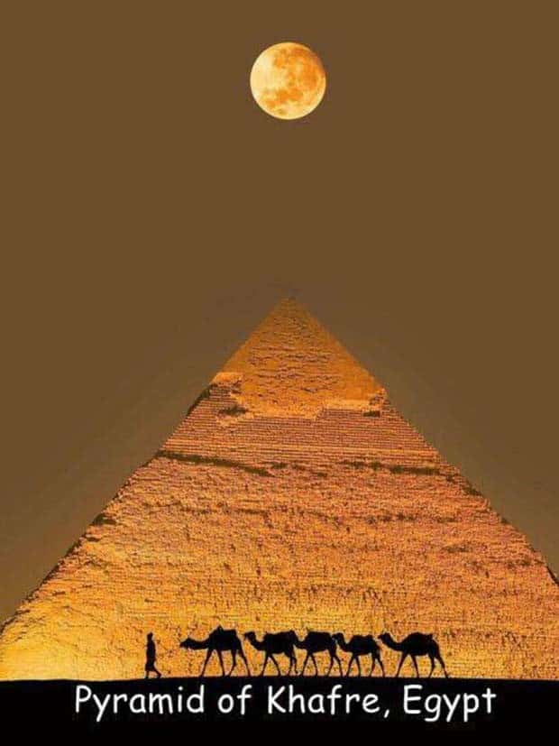 pictures with captions 7 1 Interesting Pictures with Captions #120 (24 photos)