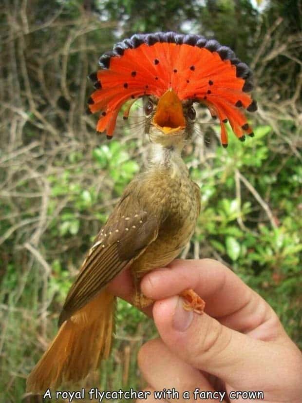 Interesting Pictures with Captions #122 (22 photos)