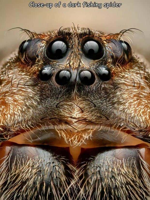 Interesting Pictures with Captions #119 (23 photos)