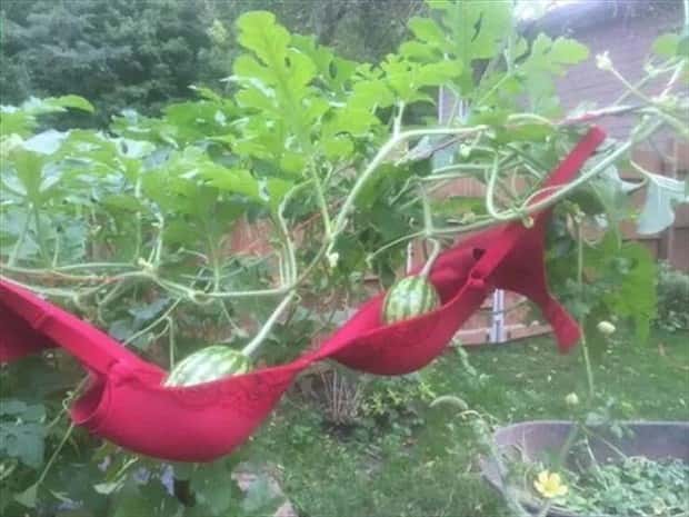 redneck engineering marvels 13 Unique Redneck Engineering Marvels (32 photos)