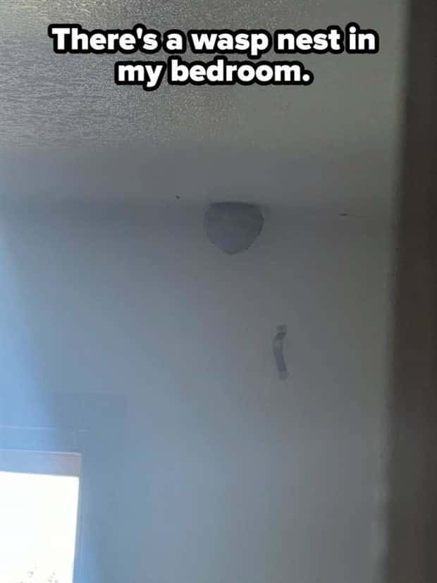 Shit Happens Regularly, Get Used To It #294 (23 photos)