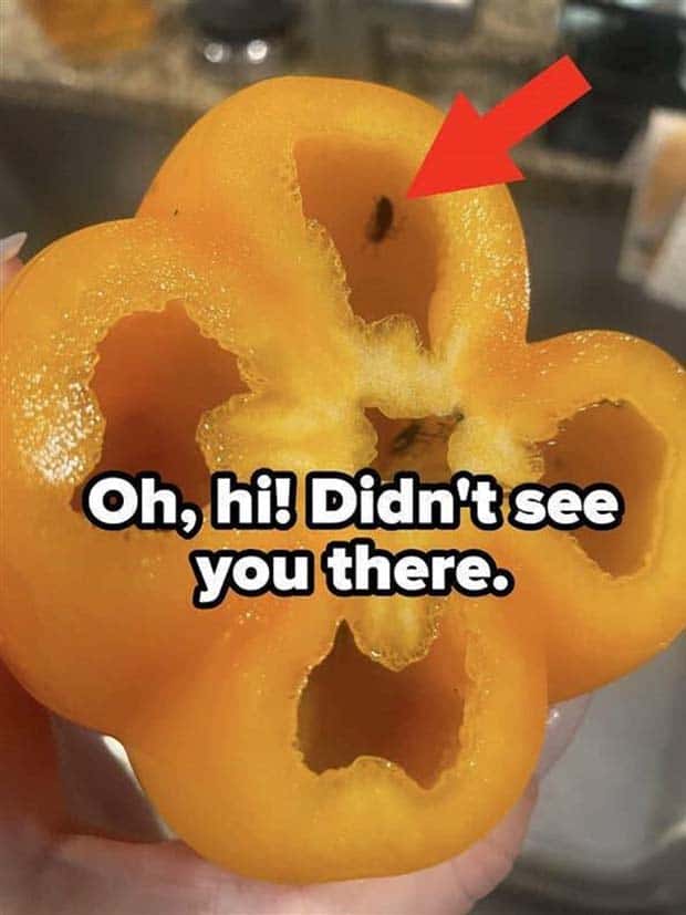 Shit Happens Regularly, Get Used To It #296 (26 photos)