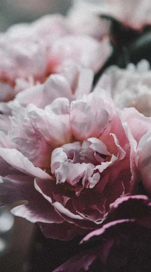 Unique Smartphone Wallpapers Youll Love (38 photos)