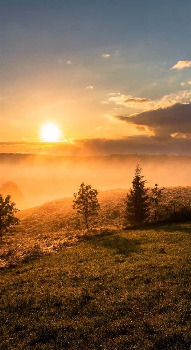 Unique Smartphone Wallpapers Youll Love (38 photos)